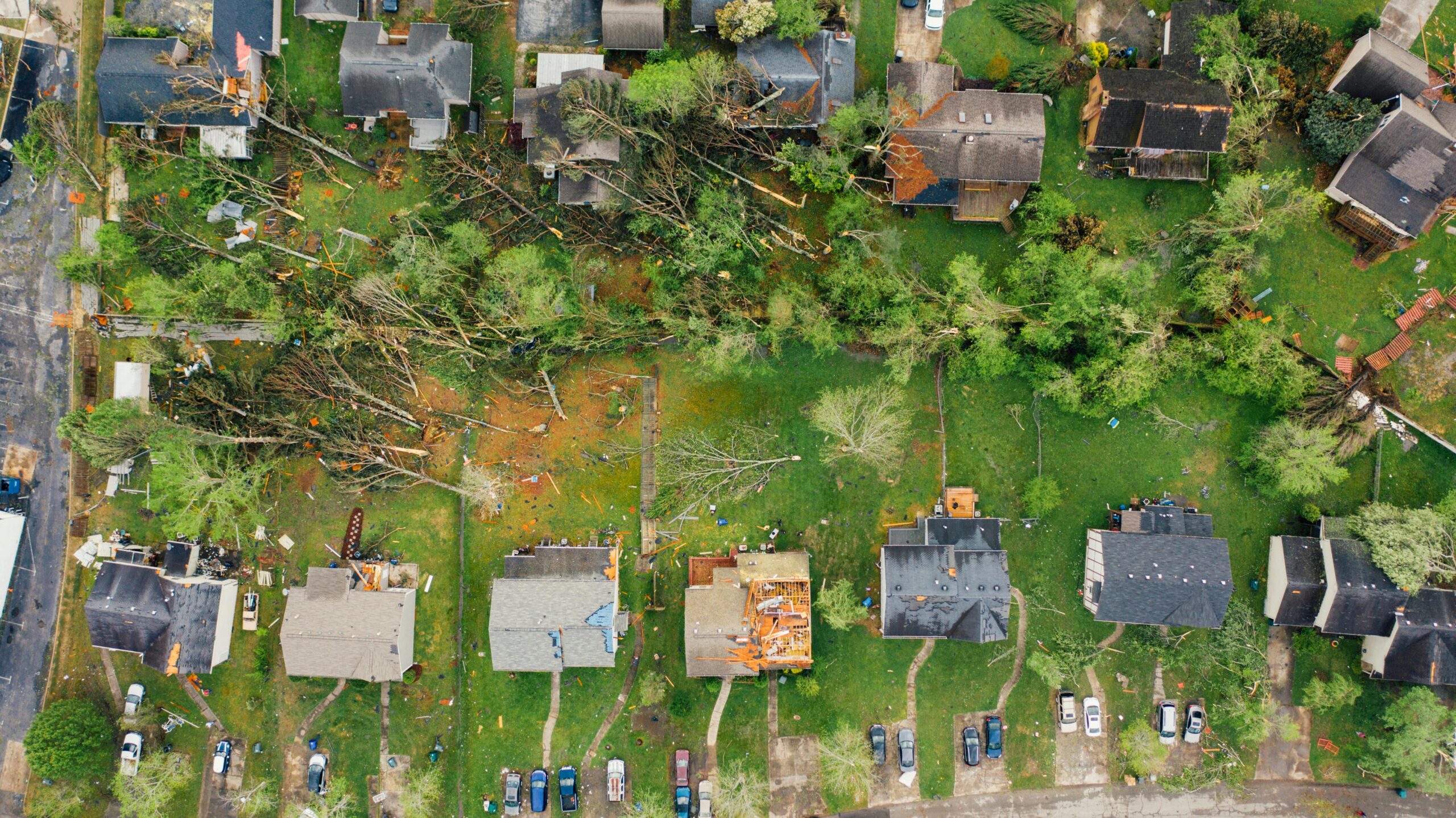 Adam Wilson Arlington TX Water Damage owner